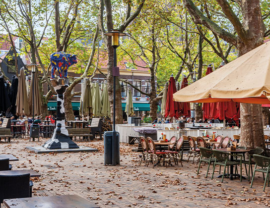 Verduurzamen-in-delft